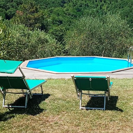 Villa Con Piscina 10 Posti Letto, L'Oliveta Di Rivalto 치아니 외부 사진