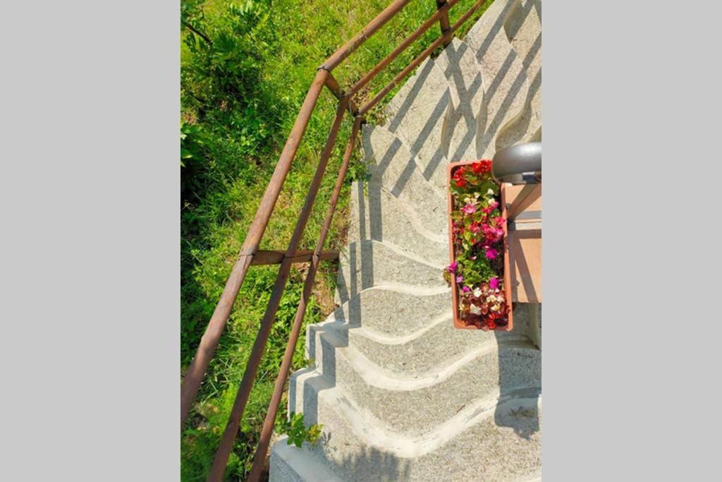 Villa Con Piscina 10 Posti Letto, L'Oliveta Di Rivalto 치아니 외부 사진