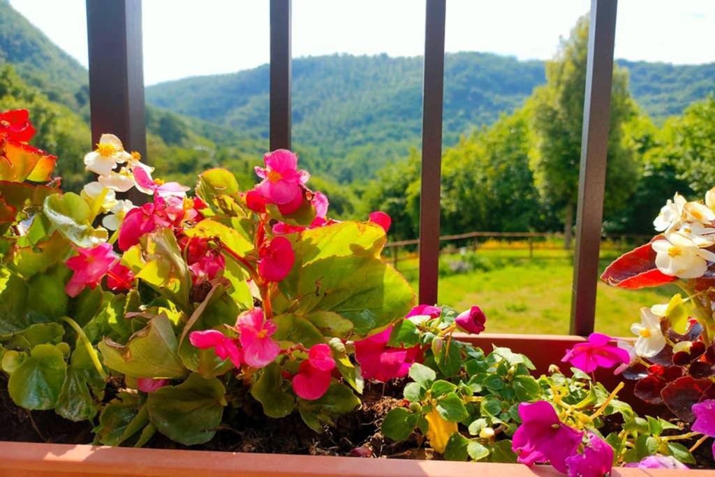 Villa Con Piscina 10 Posti Letto, L'Oliveta Di Rivalto 치아니 외부 사진
