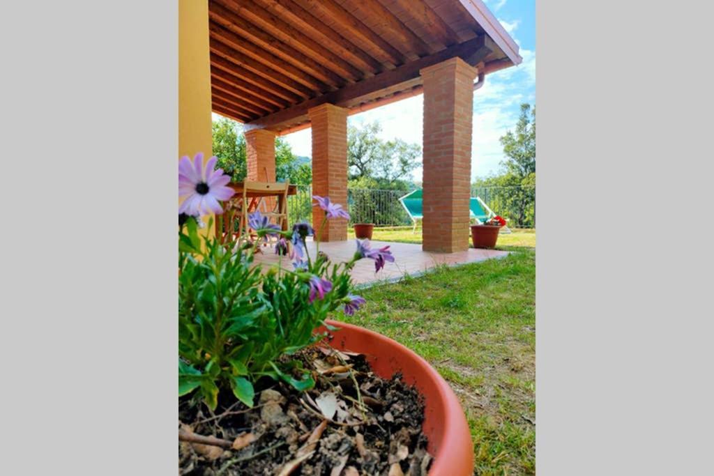 Villa Con Piscina 10 Posti Letto, L'Oliveta Di Rivalto 치아니 외부 사진