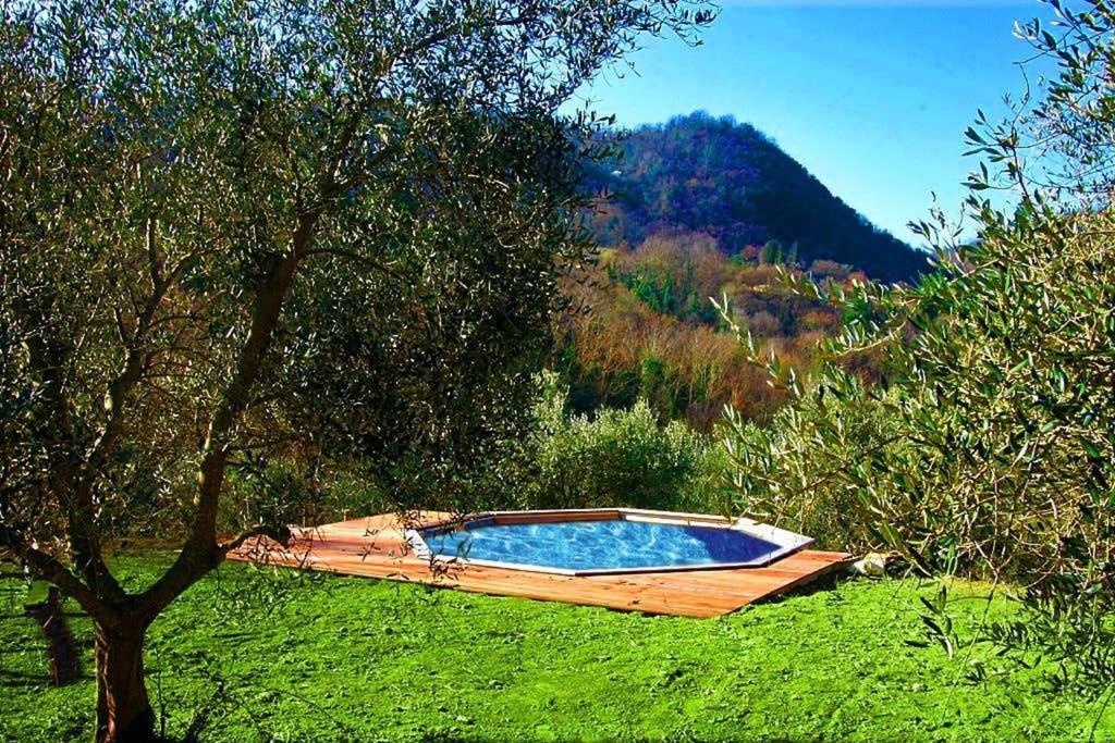 Villa Con Piscina 10 Posti Letto, L'Oliveta Di Rivalto 치아니 외부 사진