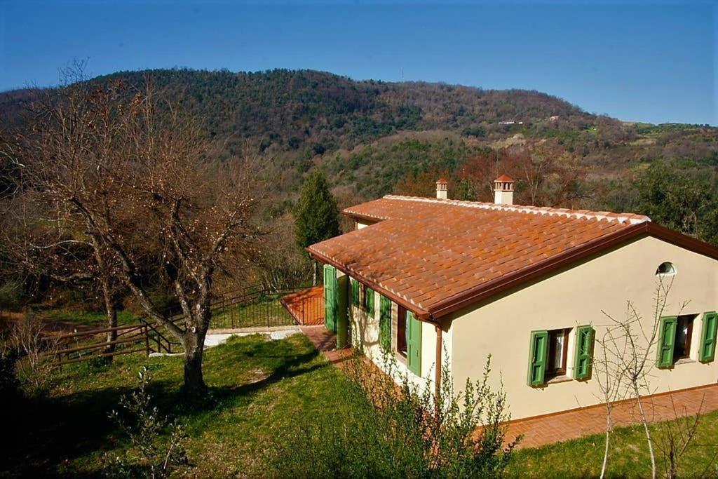Villa Con Piscina 10 Posti Letto, L'Oliveta Di Rivalto 치아니 외부 사진