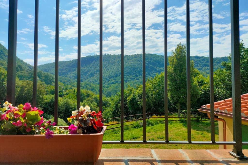Villa Con Piscina 10 Posti Letto, L'Oliveta Di Rivalto 치아니 외부 사진